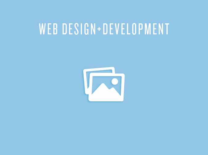 web development/design services